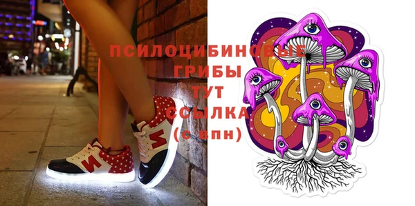 spice Вязники