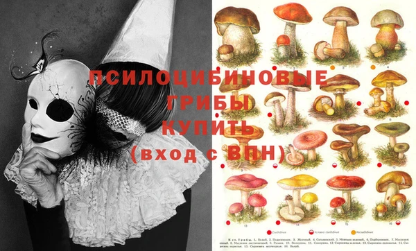 MDMA Premium VHQ Чегем