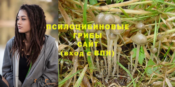 spice Вязники