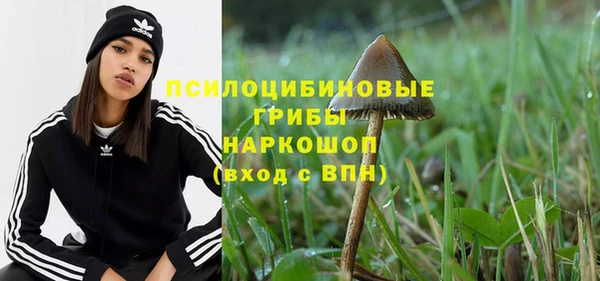 прущая мука Вязьма
